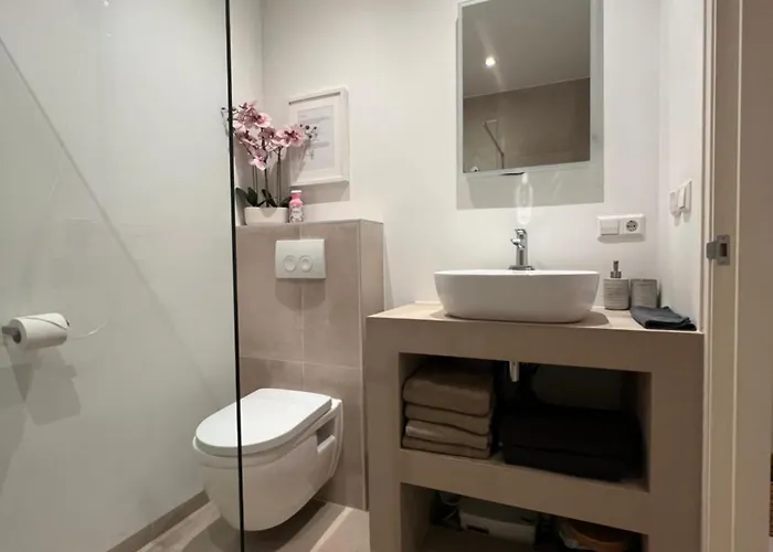 Casa 잔드보르트